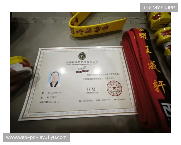 跆拳道学院完善青少年等级证书的管理与认可机制,跆拳道级别认证机构 跆拳道学院完善青少年等级证书的管理与认可机制,跆拳道级别认证机构