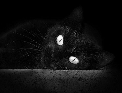 NBA赛事直播技术革新,nba赛事网络直播