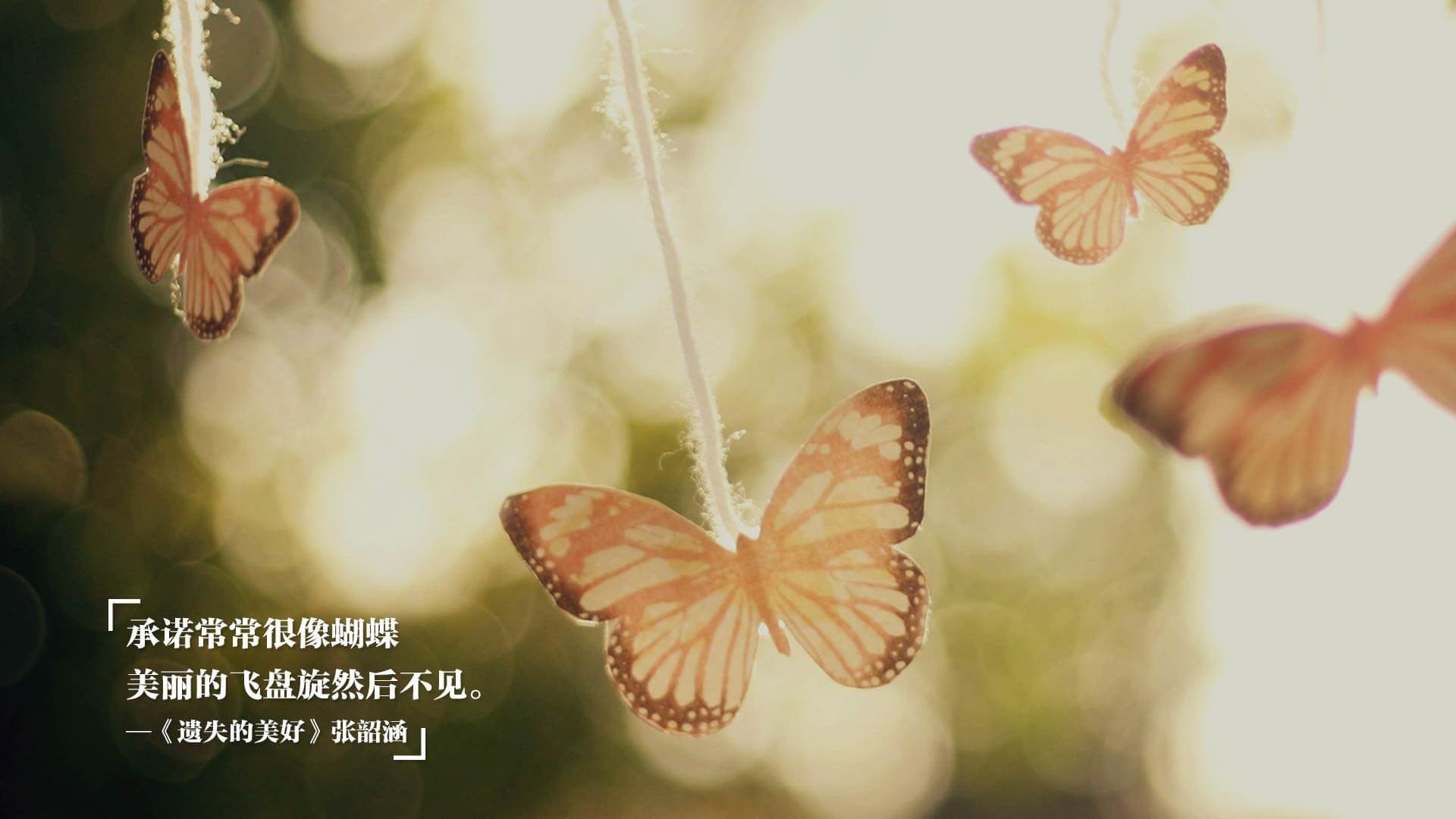 乐鱼体育官网-女子足球推广活动深入校园激发学生参与热情，以某大学推广足球活动为主题的简报